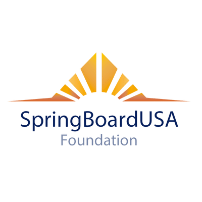 SpringBoard USA nonprofit education sector digital growth client